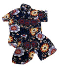 Conjunto - Panama 1707096000041756875 #1