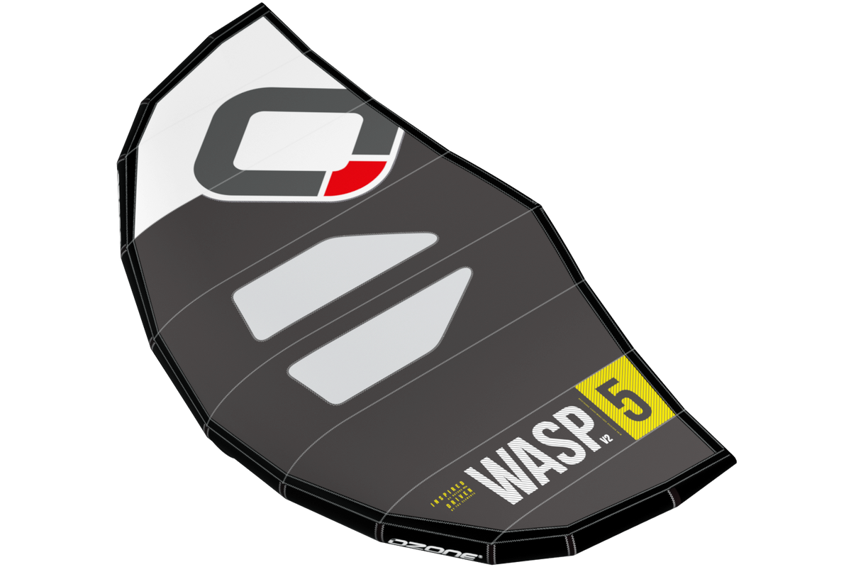 Wasp V2 1707096000022168472 #1